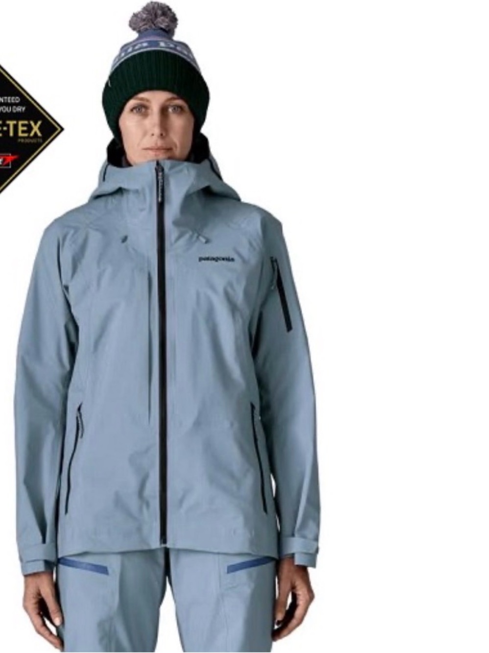 NWT Patagonia PowSlayer GORE-TEX Pro Jacket Women M